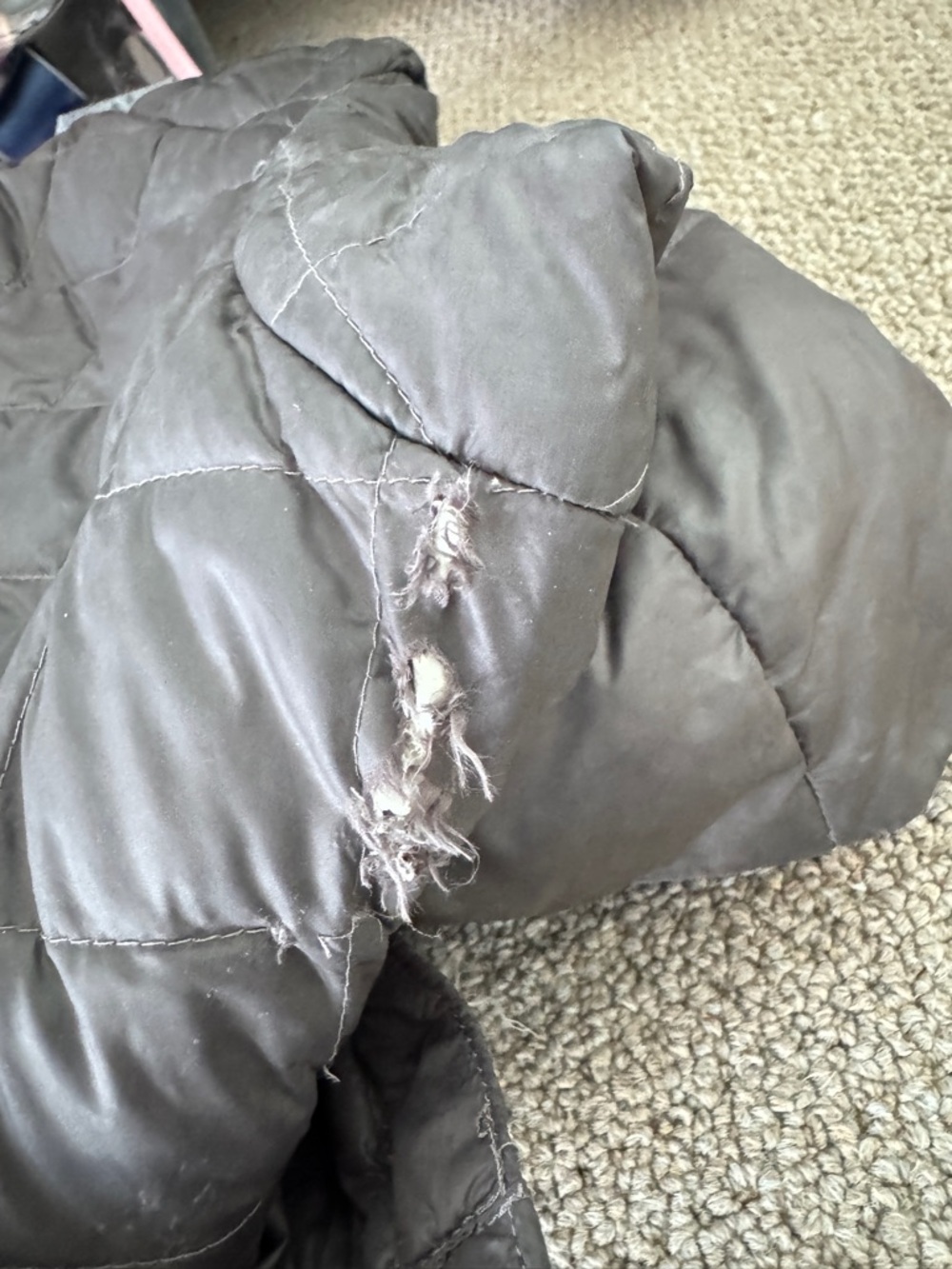 The North Face Women's Gray Quilted Hooded Puffer Coat - Picture 7 of 7